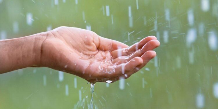 City may get more rain next week: Met – The Times of India