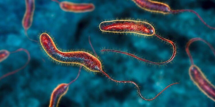 Cholera-hit Ghana guns for improved surveillance, infrastructure – Gavi, the Vaccine Alliance
