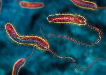 A new cholera outbreak in Sudan has killed over 170 people in a week, officials say – AP News