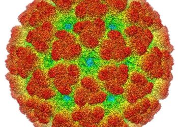 China fights mosquito-borne chikungunya virus with drones, fines and nets as thousands fall ill – CNN