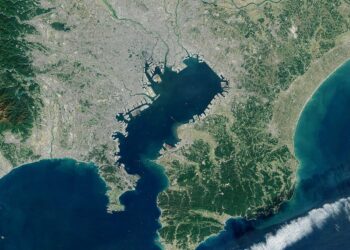 The Tokyo Bay earthquake nest, Japan: Implications for a subducted seamount – ScienceDirect.com