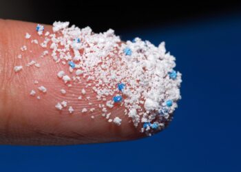 Characteristics, drivers and ecological risk assessment of microplastics in the surface water of urban rivers in Guangdong-Hong Kong-Macao Greater Bay Area cities – A case study of Dongguan city – ScienceDirect.com