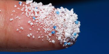Characteristics, drivers and ecological risk assessment of microplastics in the surface water of urban rivers in Guangdong-Hong Kong-Macao Greater Bay Area cities – A case study of Dongguan city – ScienceDirect.com