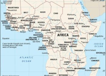 Africa Should be the Next ‘Climate Economy’ Leaders Say – Time Magazine