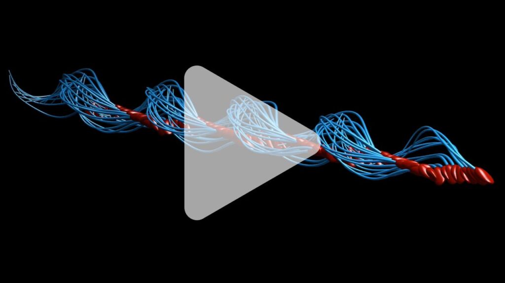 Breaking the code of sperm motion: Two proteins found to be vital for male fertility – Asia Research News |