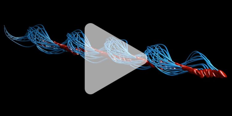 Breaking the code of sperm motion: Two proteins found to be vital for male fertility – Asia Research News |
