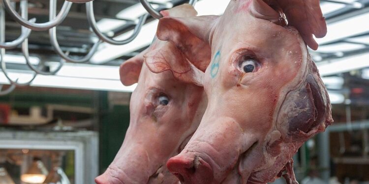 France Suspects Foreign Meddling After Pigs’ Heads Found Near Mosques – The New York Times