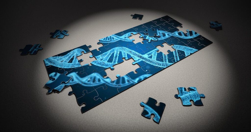 Exploring a Genetic Puzzle in Nagoya Japan – NC State University