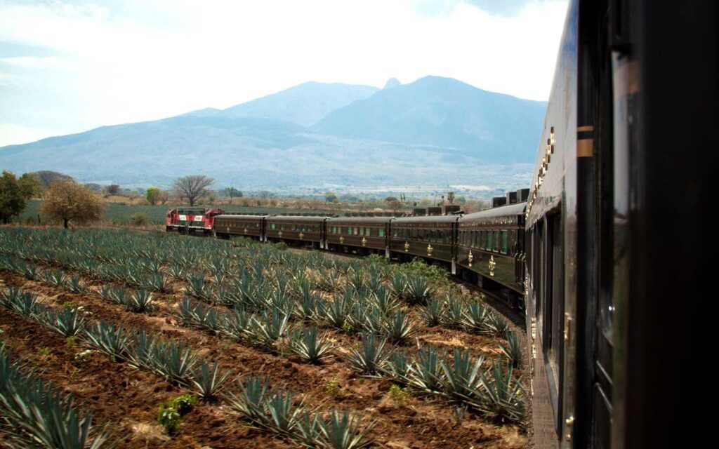 Mexico Travel Update: The ‘Tequila Train’ From Guadalajara Is Back – Forbes