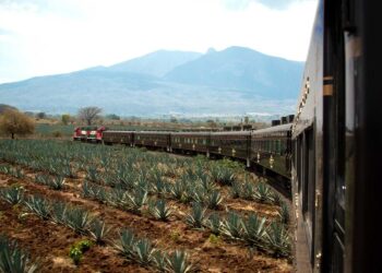 Mexico Travel Update: The ‘Tequila Train’ From Guadalajara Is Back – Forbes