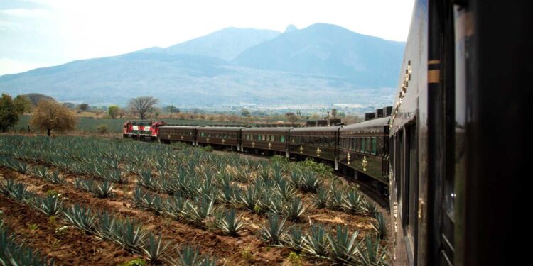 Mexico Travel Update: The ‘Tequila Train’ From Guadalajara Is Back – Forbes