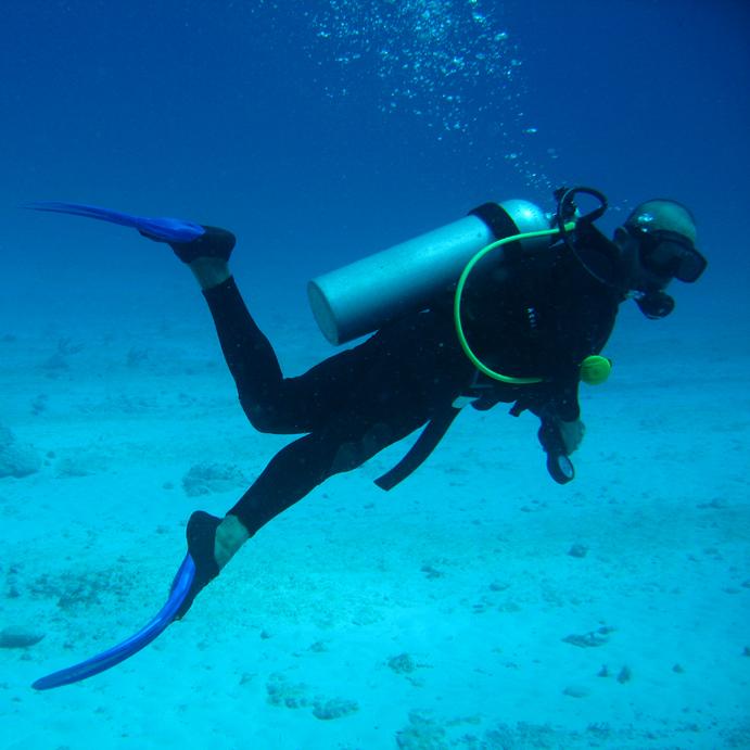 10 Things to KNOW Before Going Scuba Diving in Rio de Janeiro, Brazil – Destinationless Travel
