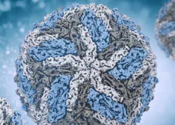 Dengue virus transmission during non-outbreak period in Dar Es Salaam, Tanzania: a cross-sectional survey – BMC Infectious Diseases