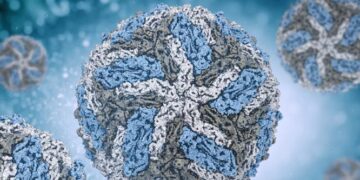 Dengue virus transmission during non-outbreak period in Dar Es Salaam, Tanzania: a cross-sectional survey – BMC Infectious Diseases