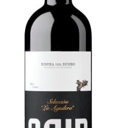 CAIR-LA Deeply Troubled by UCI Partnership With Tel Aviv University, an Institution Complicit in Israel’s Apartheid and Genocide – CAIR California