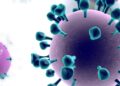 Changes in the epidemiological characteristics of influenza in children in Zhengzhou, China, in the post-COVID-19 era – BMC Public Health