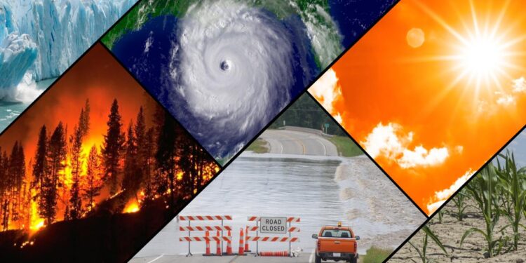 Climate change fades from spotlight, but Europe and Africa are counting cost of 2025 wildfires – Firstpost