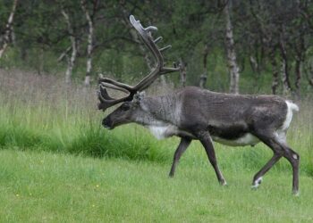 Ren vs. Yang | Round of 32 WTA Changsha Open 2025 | WTA Official – WTA Tennis