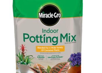 Estimation of indoor soil/dust-skin adherence factors and health risks for adults and children in two typical cities in southern China – ScienceDirect.com