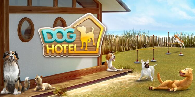 Rome’s airport opens luxurious dog hotel with pampering services – AP News