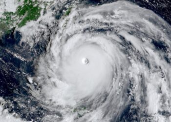 Super Typhoon Ragasa: Waves from storm shatter glass doors, flood Ocean Park’s Fullerton hotel – Hong Kong Free Press HKFP