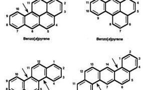 -bound PAHs: Integrating component-based potency factors and machine learning in Ningbo, China – ScienceDirect.com