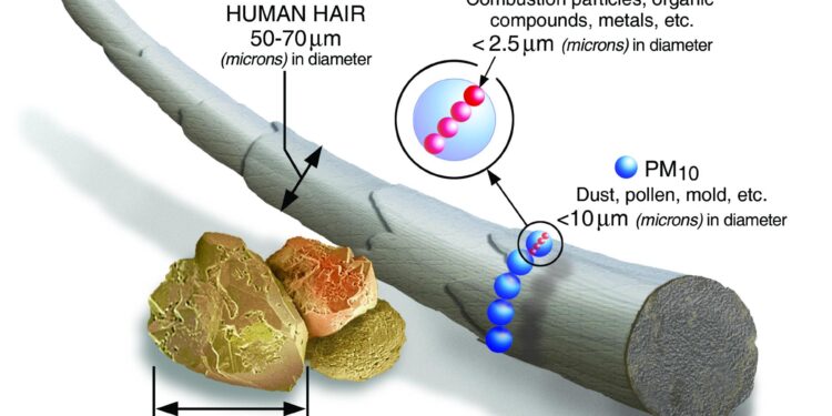 Seasonal multisite low-cost sensor measurements to estimate spatial and temporal variability of particulate matter pollution in Nairobi, Kenya – ScienceDirect.com