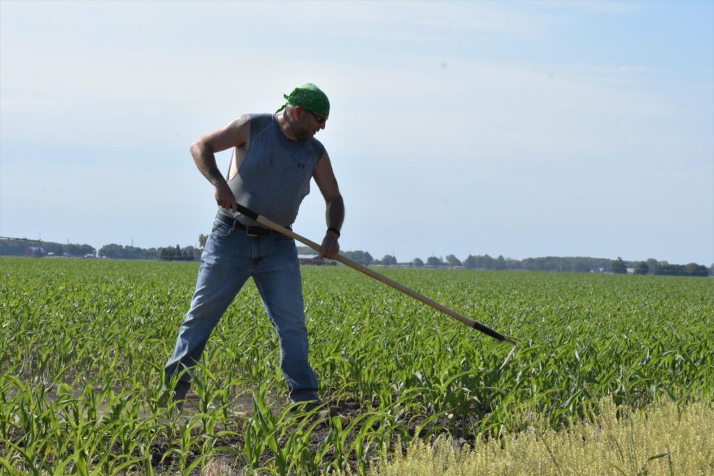 Hoosier farmers celebrate Taiwan’s pledge to buy $6 billion worth of U.S. corn and soybeans – Inside INdiana Business