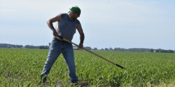 Hoosier farmers celebrate Taiwan’s pledge to buy $6 billion worth of U.S. corn and soybeans – Inside INdiana Business