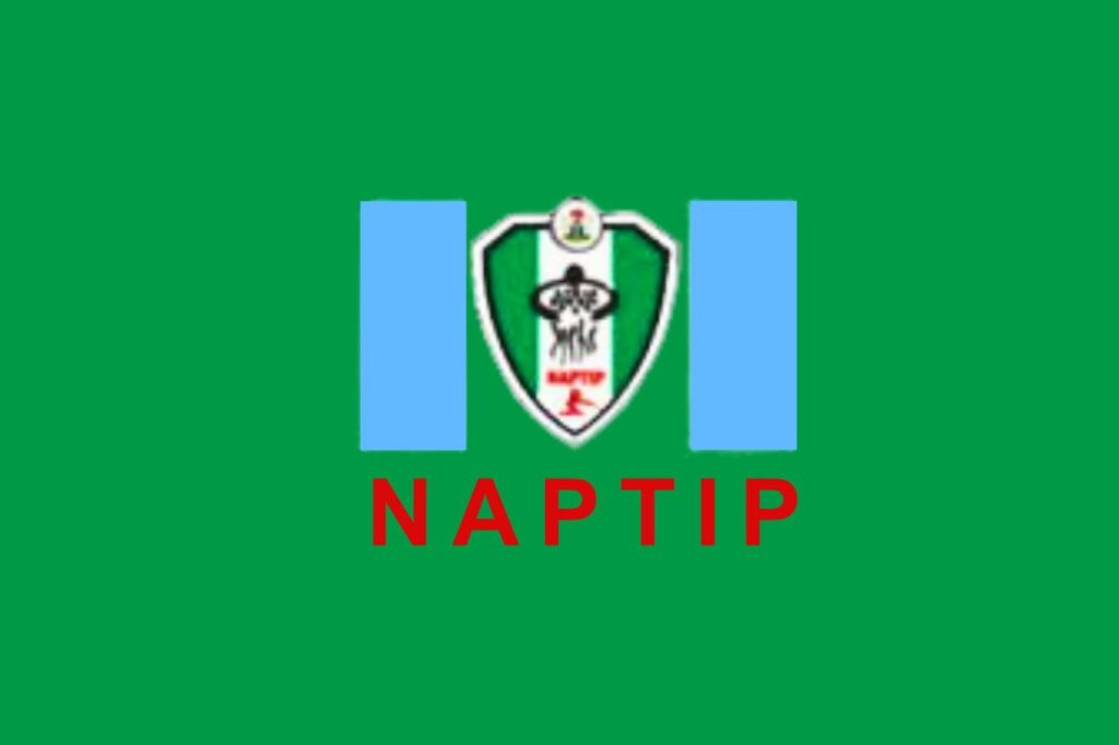 NAPTIP Storms Abuja Airport, Arrests Five Suspected Human Traffickers, Frees 24 Victims – THISDAYLIVE