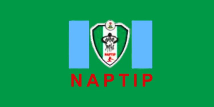 NAPTIP Storms Abuja Airport, Arrests Five Suspected Human Traffickers, Frees 24 Victims – THISDAYLIVE
