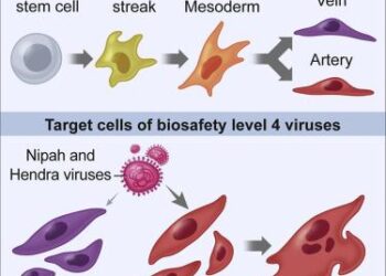 NIA files chargesheet against two in India-U.S. ‘dunki’ route case – The Hindu