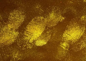 IND vs WI Highlights, 1st Test Match Day 2: India 448/5 at stumps on Day 2, lead WI by 286 runs – Times of India