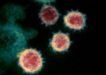 Evidence of SARS-CoV-2 Infection in Returning Travelers from Wuhan, China – The New England Journal of Medicine