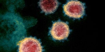 Evidence of SARS-CoV-2 Infection in Returning Travelers from Wuhan, China – The New England Journal of Medicine