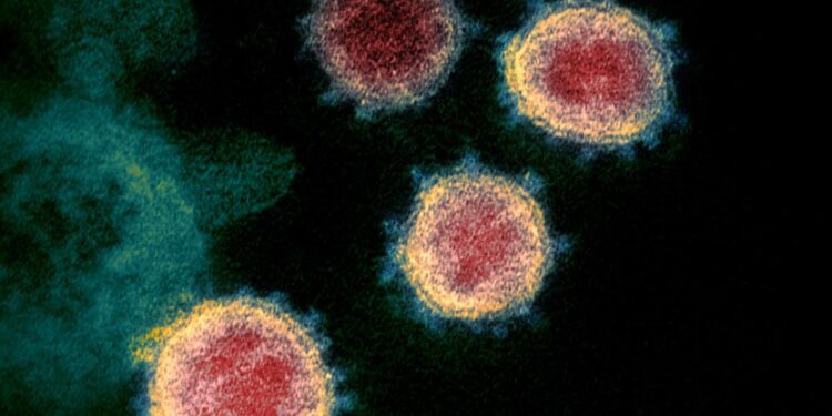 Evidence of SARS-CoV-2 Infection in Returning Travelers from Wuhan, China – The New England Journal of Medicine