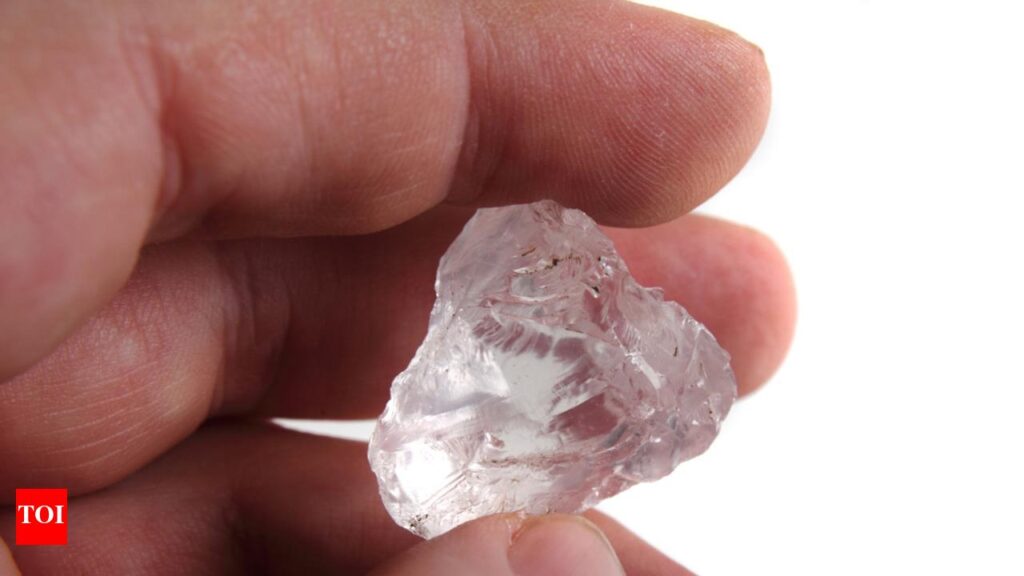 Industry Comes Together in Angola to Create Natural-Diamond Marketing Fund – Rapaport