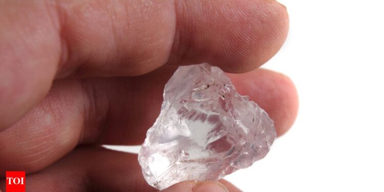 Industry Comes Together in Angola to Create Natural-Diamond Marketing Fund – Rapaport