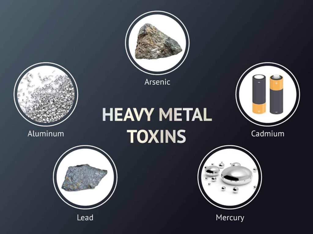 Investigation finds dangerous levels of heavy metals around Monterrey hazardous waste plant – Mexico News Daily