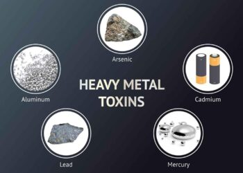 Investigation finds dangerous levels of heavy metals around Monterrey hazardous waste plant – Mexico News Daily