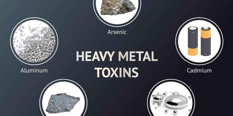 Investigation finds dangerous levels of heavy metals around Monterrey hazardous waste plant – Mexico News Daily
