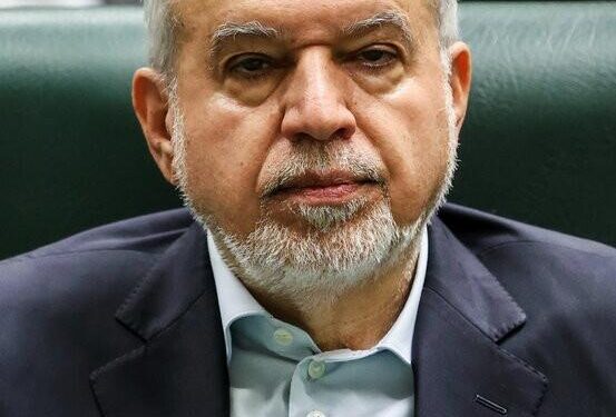 Salehi-Amiri: Iraqi tourists visiting Iran will increase from 3.5 million to 5 million – Tehran Times