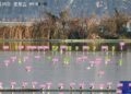 AI-powered “bird facial recognition” boosts avian conservation – Global Times
