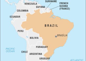 Brazil and China snatch Qingdao Futures gold – Volleyball World