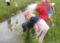 DUC brings wetland education to urban youth in Montreal – Ducks Unlimited Canada