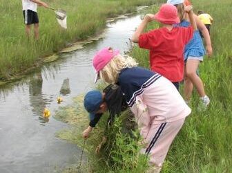 DUC brings wetland education to urban youth in Montreal – Ducks Unlimited Canada