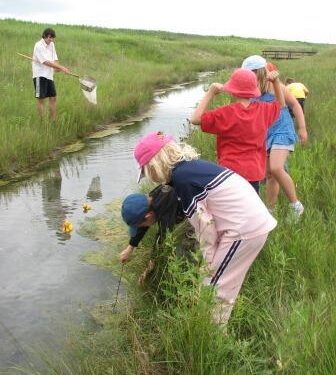 DUC brings wetland education to urban youth in Montreal – Ducks Unlimited Canada