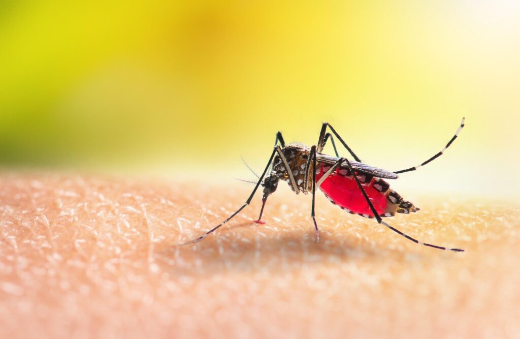 The double challenge of malaria and malnutrition in Kano, Nigeria – Doctors Without Borders