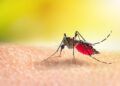 The double challenge of malaria and malnutrition in Kano, Nigeria – Doctors Without Borders