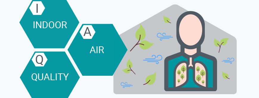 Air Quality Spotlight: Addis Ababa, Ethiopia most polluted major city – IQAir